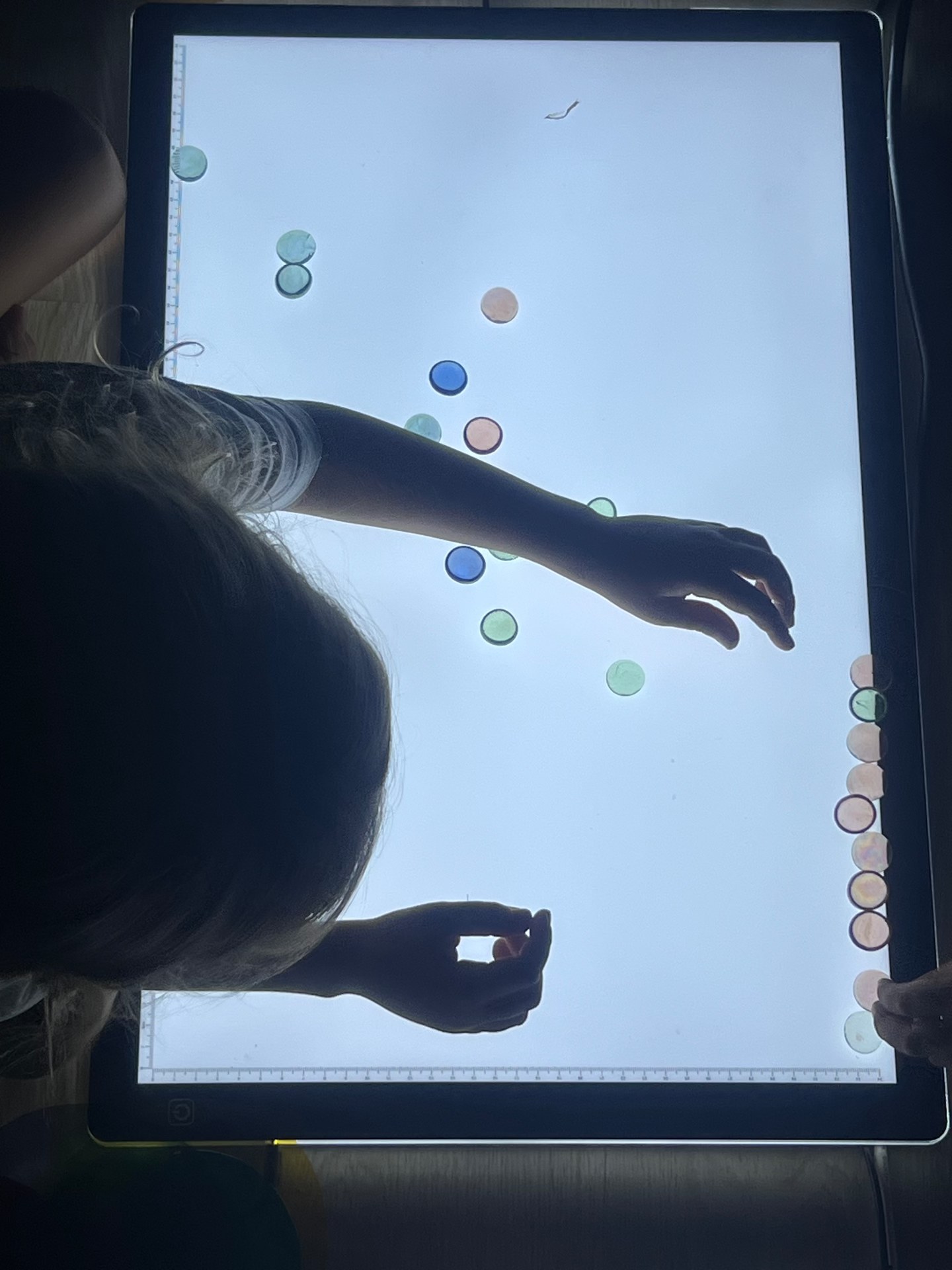 Other Worlds - projection and installation