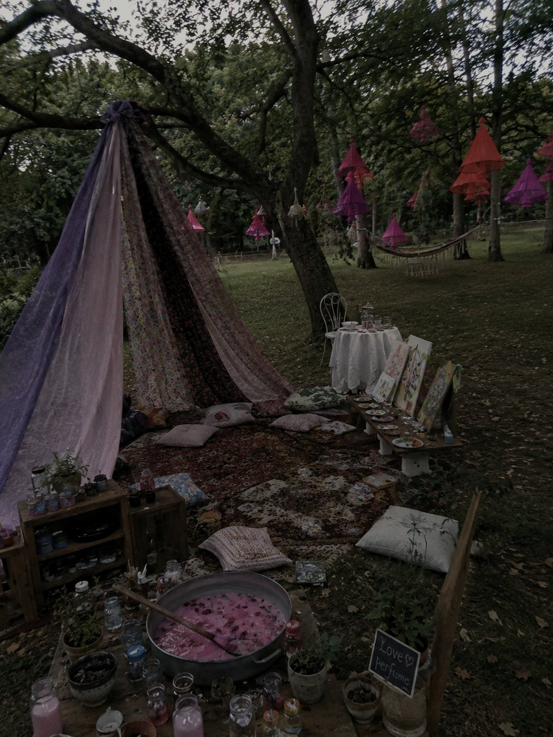 Fairy Forest